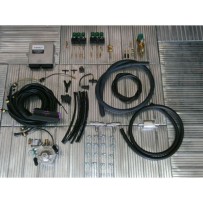 WENTGAS-AEB-OBDII 5 CYLINDER 6 CYLINDER AUTO LPG KIT
