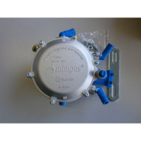 REDUCTOR AUTO LPG ( CARBIRATER-MONOPOINT ) MIMGAS OUT 6mm