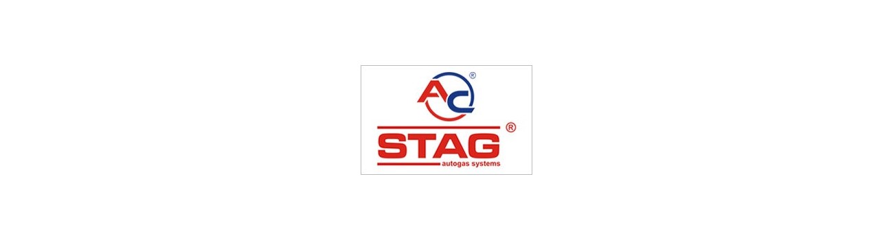 STAG MINI KIT ME ΠΝΕΥΜΩΝΑ ΚΑΙ ΜΠΕΚ