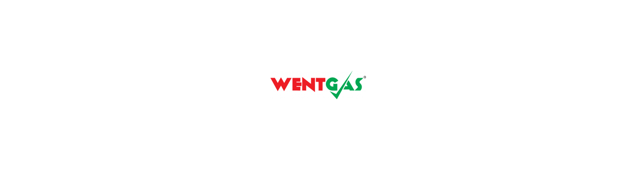 SUPER ΠΡΟΣΦΟΡΑ WENTGAS by AEB-OBDII AUTO LPG KIT