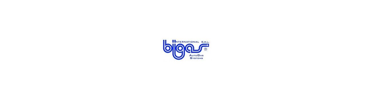 Bigas Software
