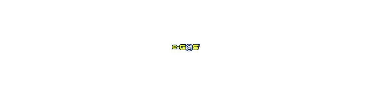 e-GAS Software