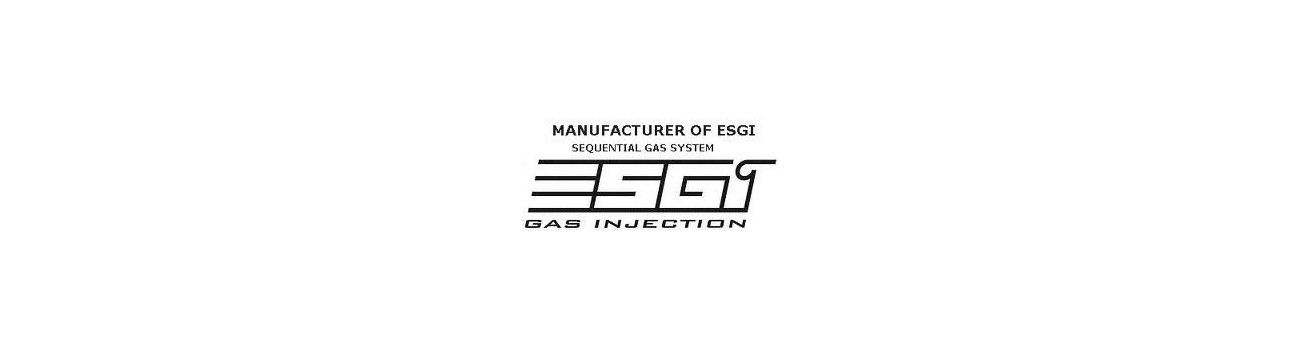 ESGI Software